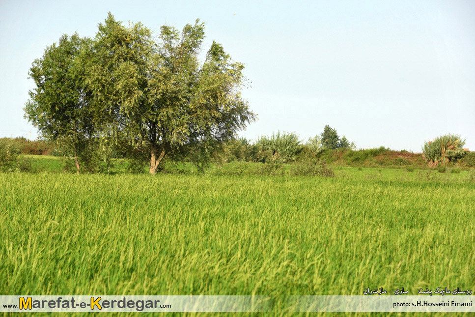 روستای ماچک پشت